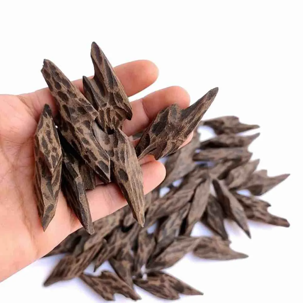 عود التايجر الاكثر مبيعا - Image 1