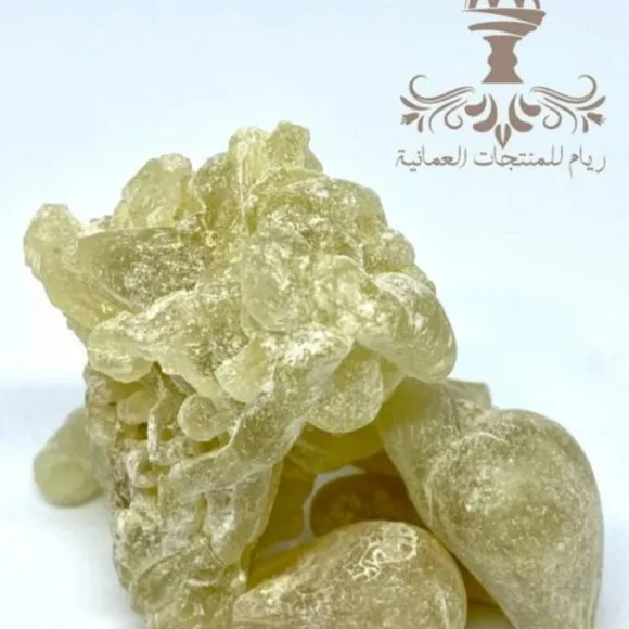 لبان حوجري ذكر - صورة 1